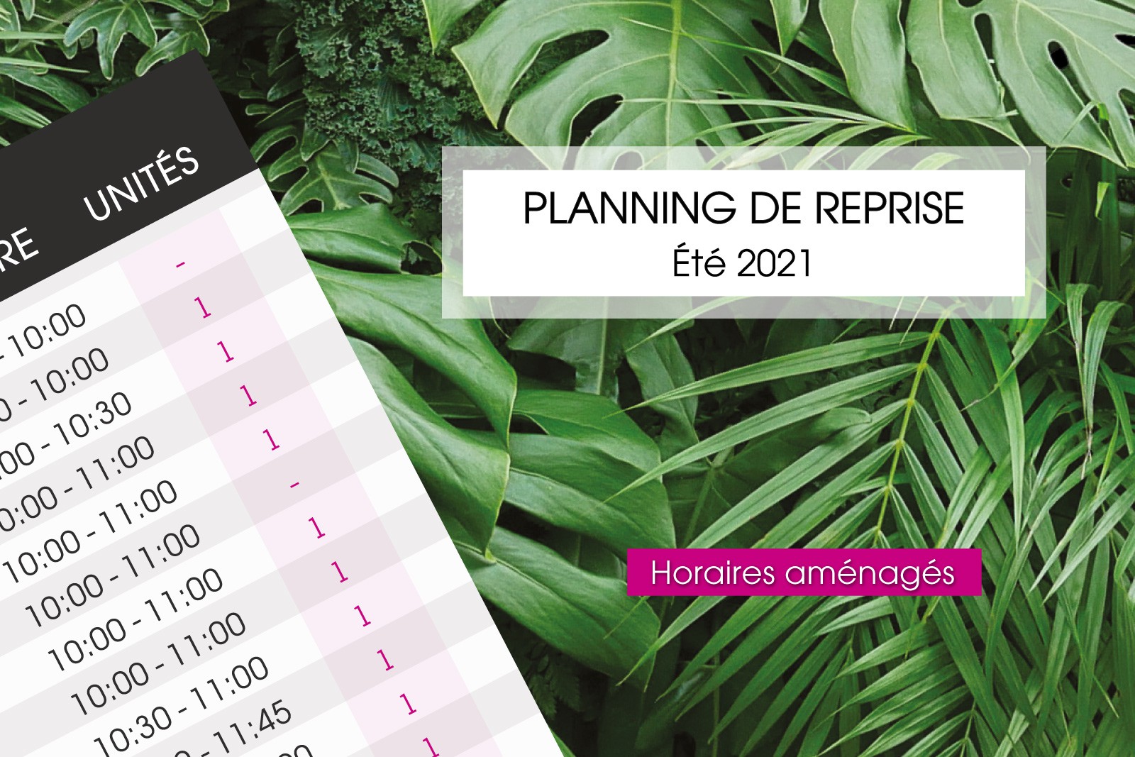 LE PLANNING DE REPRISE EST DISPONIBLE !