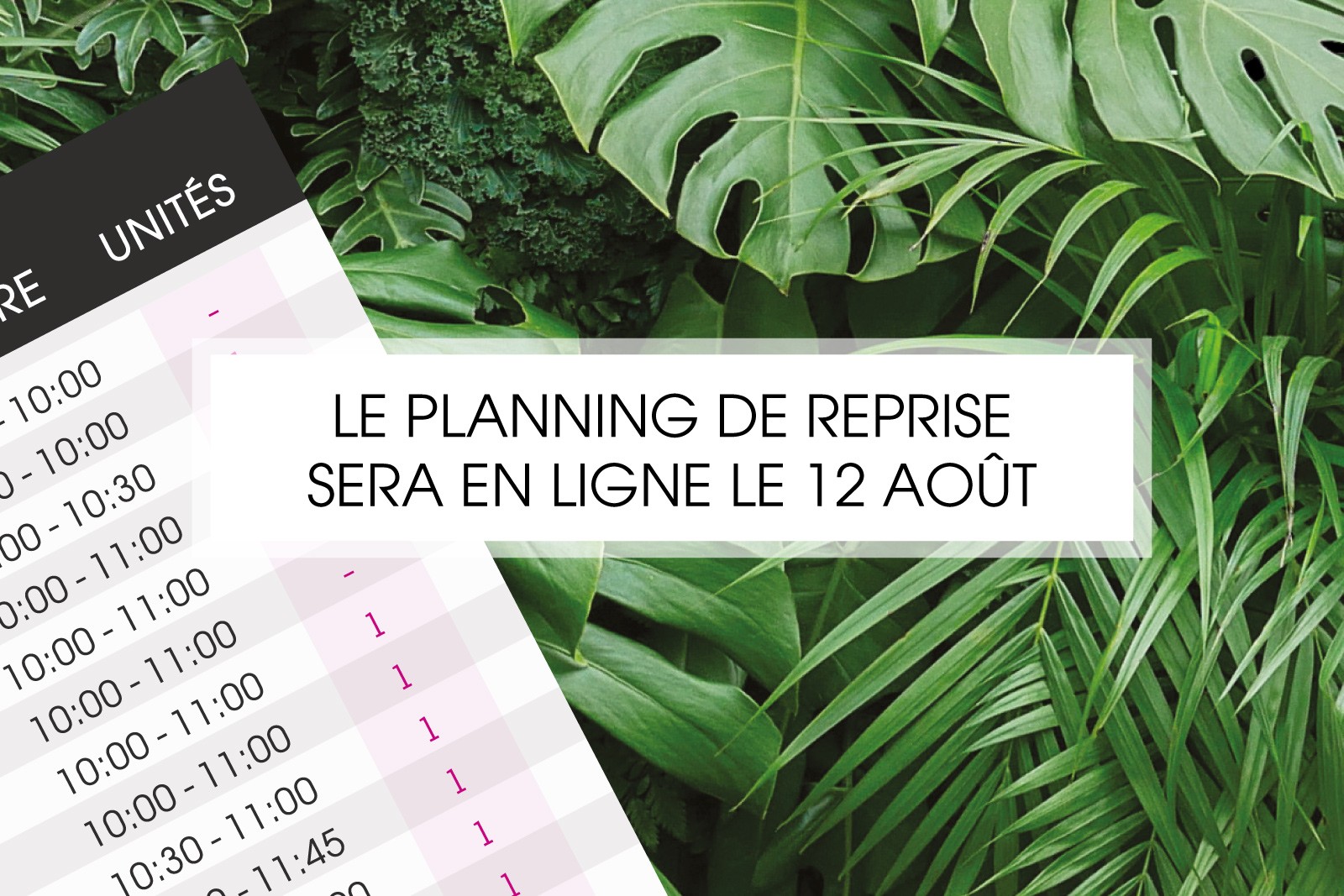 LE PLANNING DE REPRISE EST EN LIGNE !