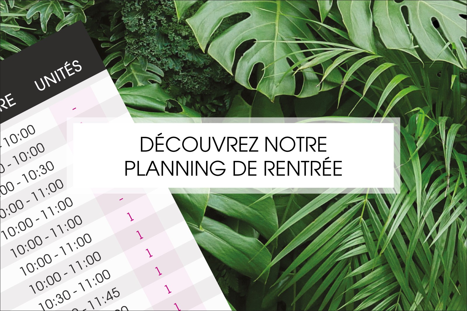 LE PLANNING DE REPRISE EST EN LIGNE !